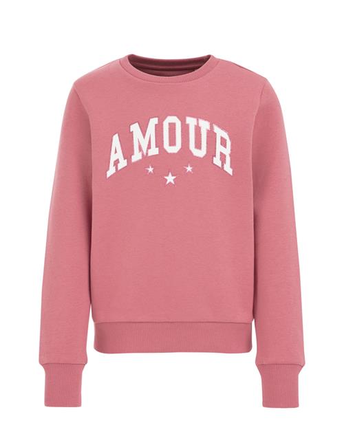 WE Fashion Sweatshirt  pink