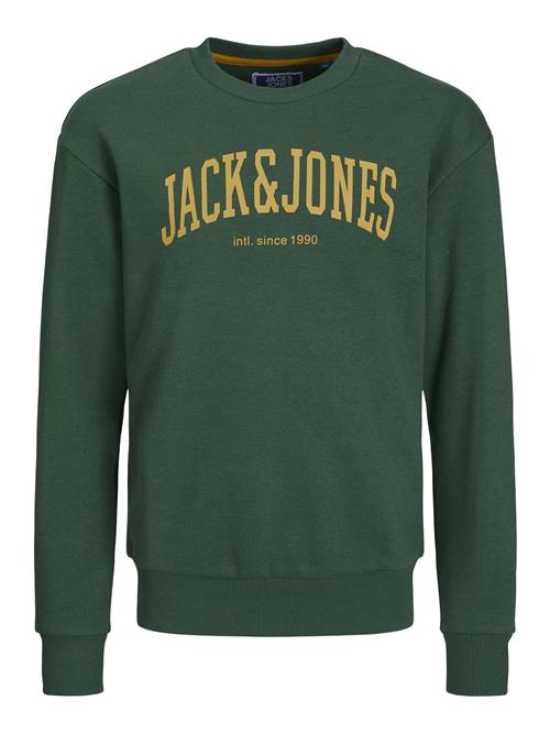 Se Jack & Jones Junior Sweatshirt 'JJEJosh'  curry / mørkegrøn ved About You