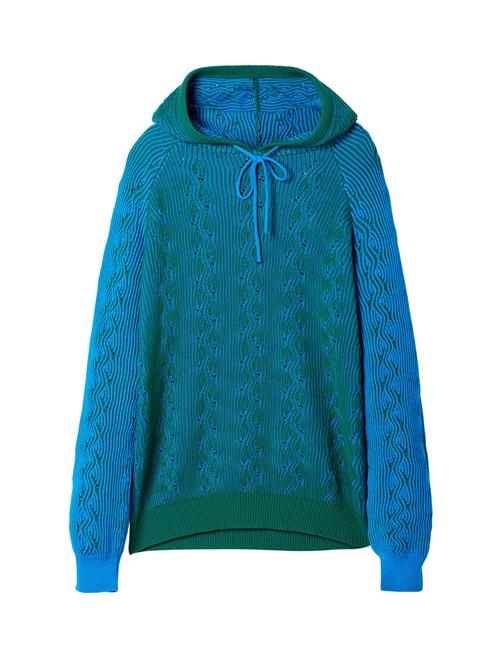 Desigual Pullover  blå / grøn