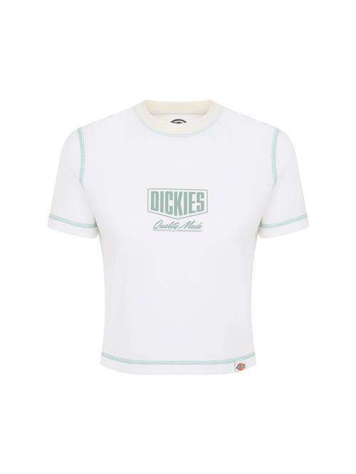 Se DICKIES Shirts 'PHILIPSBURG'  lysegrøn / hvid ved About You