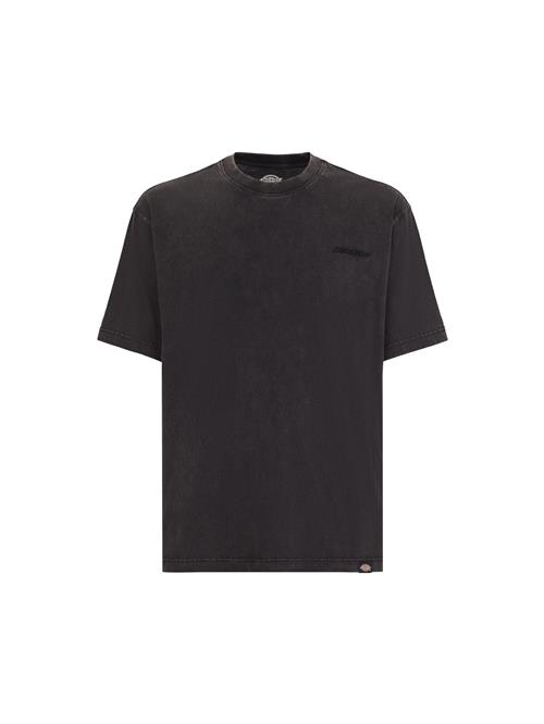 DICKIES Bluser & t-shirts 'PLENTYWOOD TEE SS'  sort