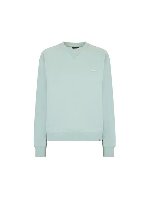 DICKIES Sweatshirt 'CLANCY'  mint / hvid