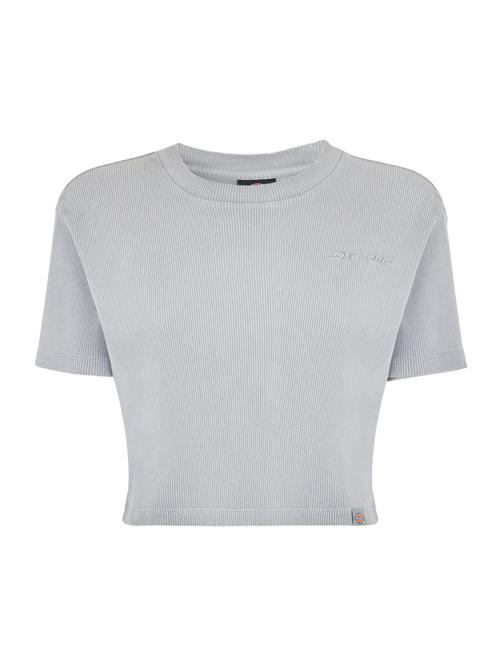 DICKIES Shirts 'PLENTYWOOD TEE SS W'  grå