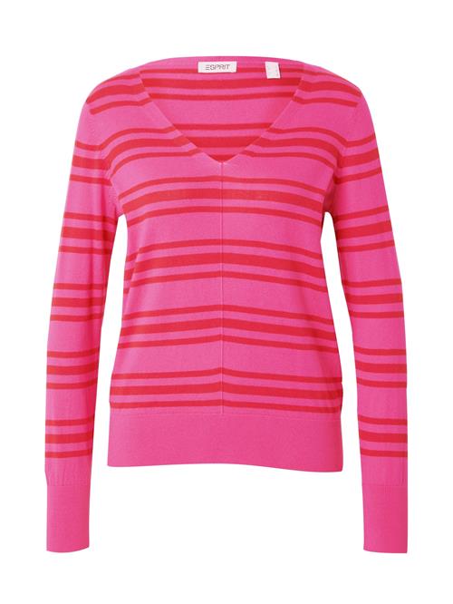 Se ESPRIT Pullover  pink / rød ved About You