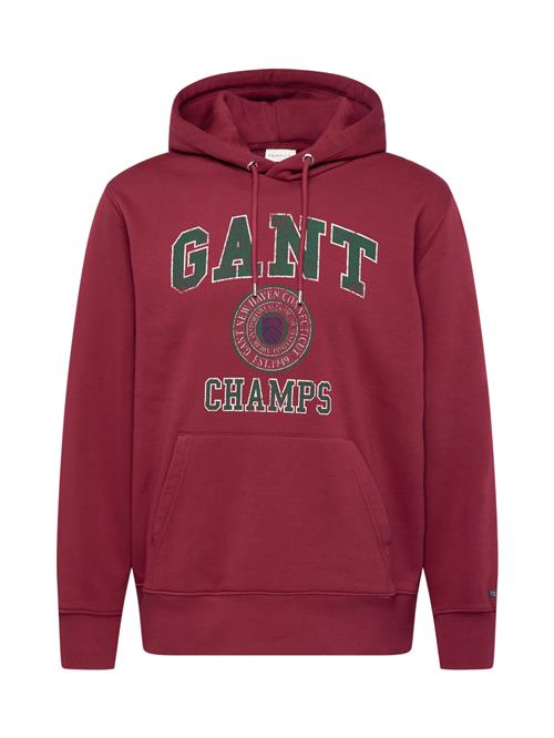 GANT Sweatshirt  mørkegrøn / burgunder / hvid