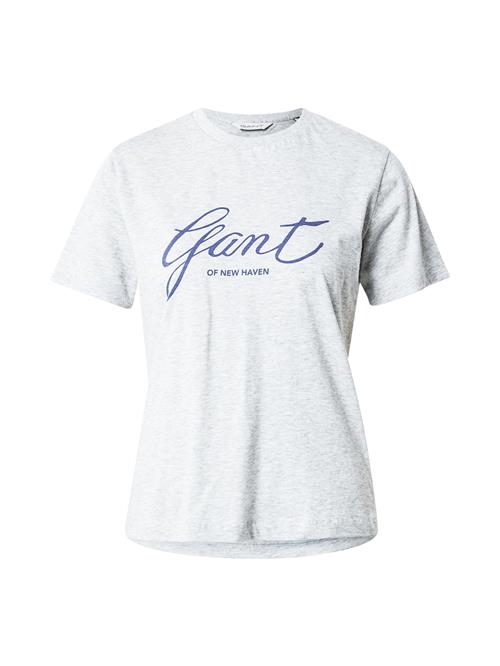 GANT Shirts  marin / grå