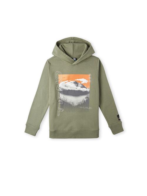 Se O'NEILL Sweatshirt 'Seaview'  grå / khaki / orange / hvid ved About You