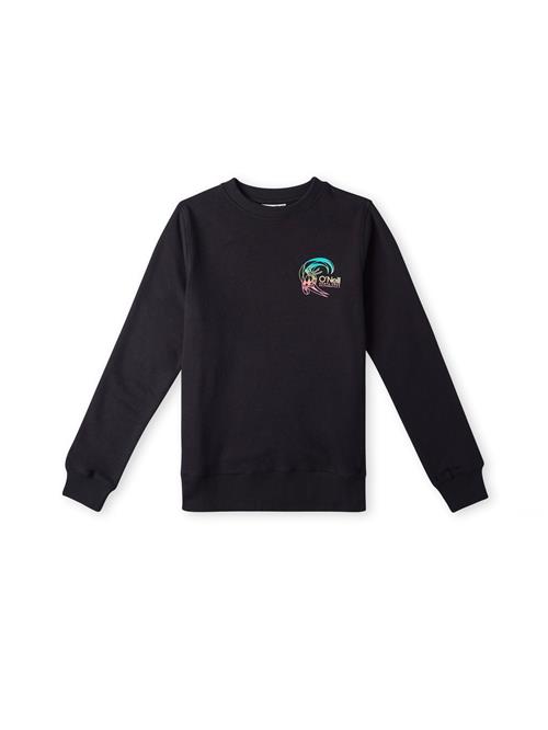 O'NEILL Sweatshirt 'Circle Surfer Crew'  blå / pink / sort