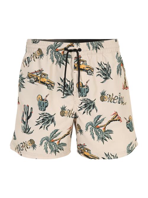 O'NEILL Boardshorts  beige / safran / grøn