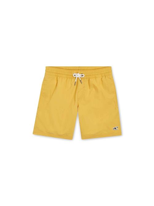 O'NEILL Badeshorts 'Vert 14'  gul