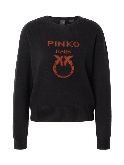 Se PINKO Pullover 'BURGOS'  brun / sort ved About You