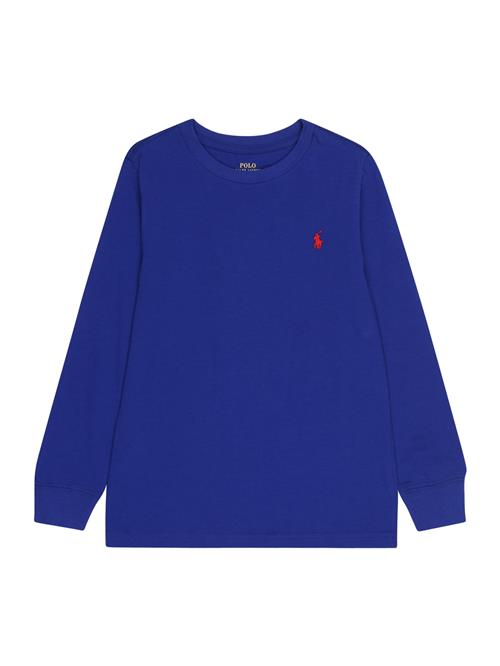 Polo Ralph Lauren Shirts  royalblå / rød