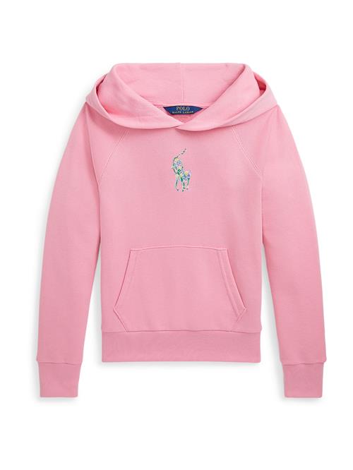 Polo Ralph Lauren Sweatshirt  blå / gul / grøn / lyserød