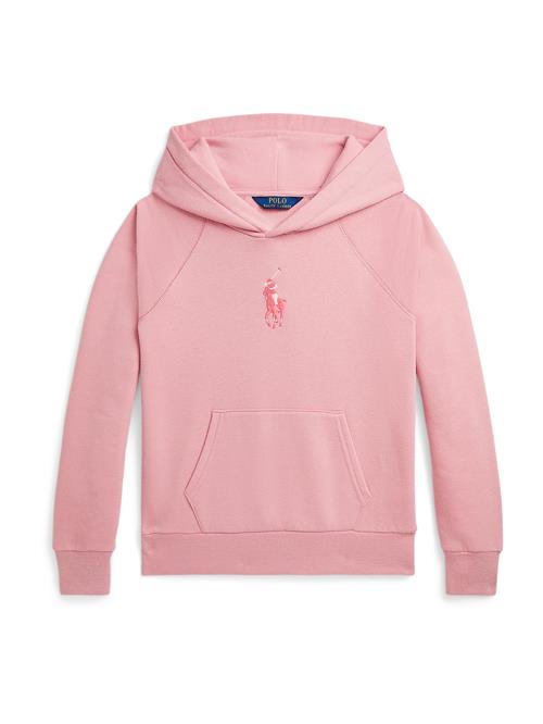 Se Polo Ralph Lauren Sweatshirt  gammelrosa / blodrød / hvid ved About You