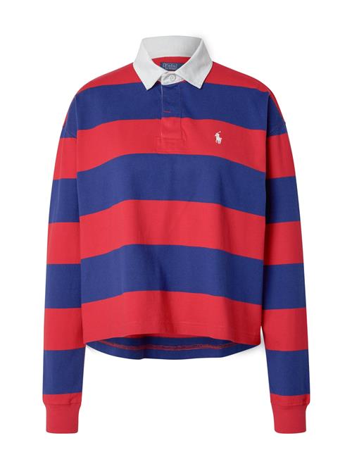 Polo Ralph Lauren Shirts  royalblå / rød / hvid