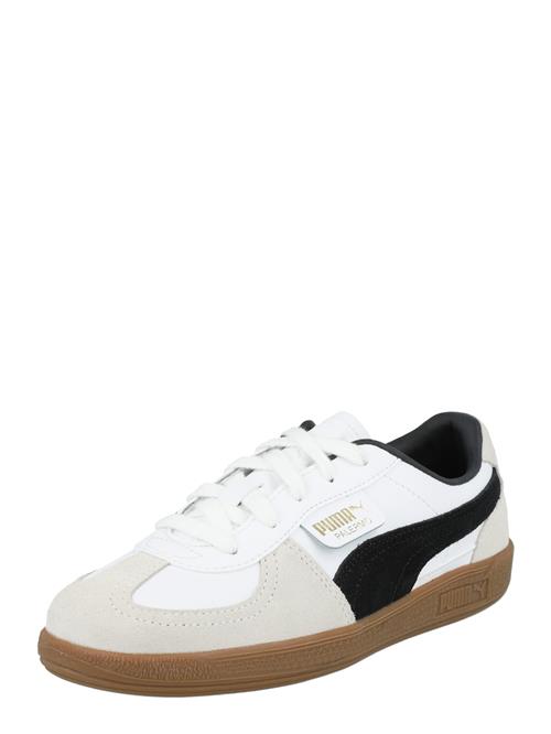 PUMA Sneakers 'Palermo'  gylden gul / røggrå / sort / hvid