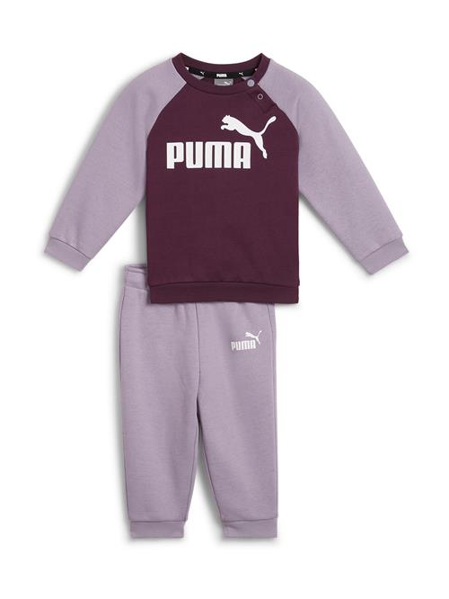 Se PUMA Joggingdragt 'Essentials'  cyclam / lilla-meleret / hvid ved About You