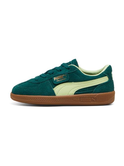 PUMA Sneakers 'Palermo'  guld / smaragd / lysegrøn