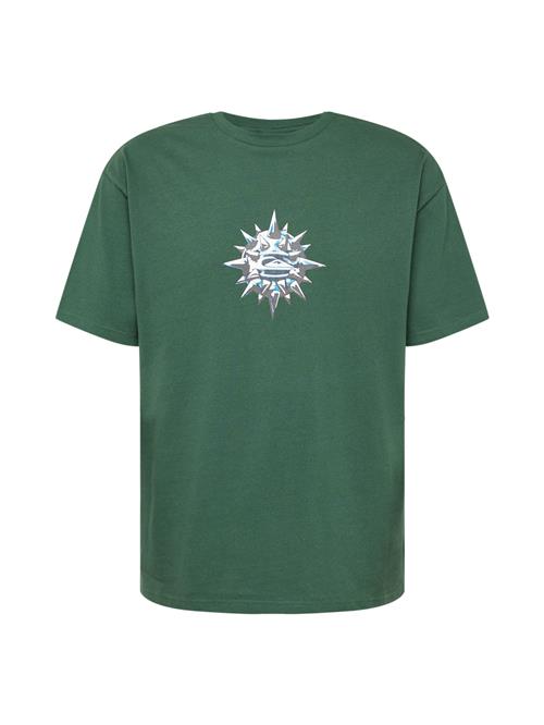 QUIKSILVER Bluser & t-shirts 'SPIKE BALL MER'  grå / gran / hvid