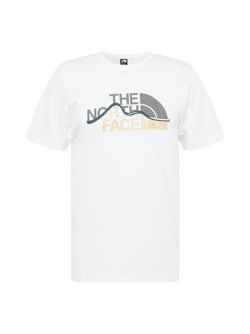 THE NORTH FACE Bluser & t-shirts 'Mountain Line'  blå / grå / pudder / hvid