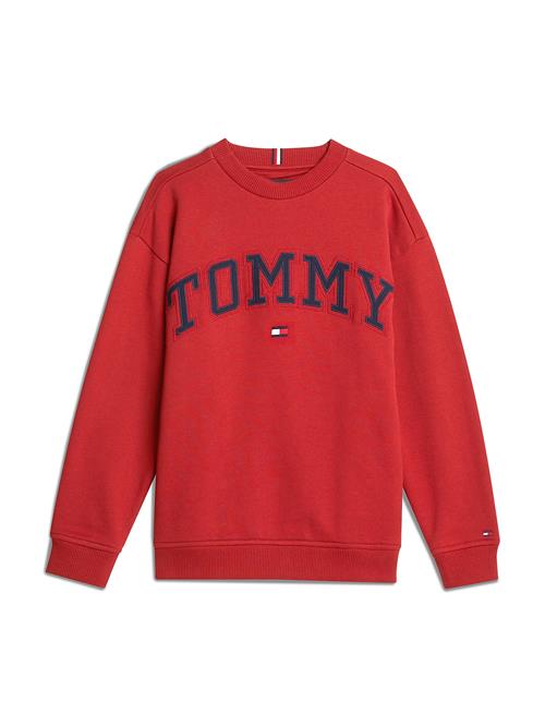 Se TOMMY HILFIGER Sweatshirt  blå / rød / hvid ved About You