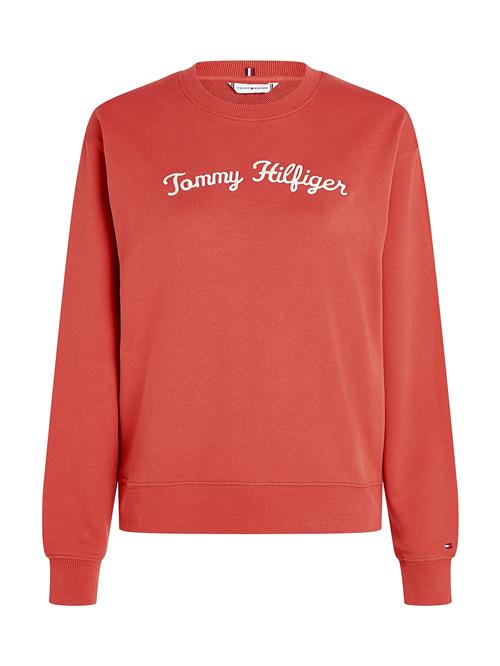 TOMMY HILFIGER Sweatshirt  marin / rød / hvid