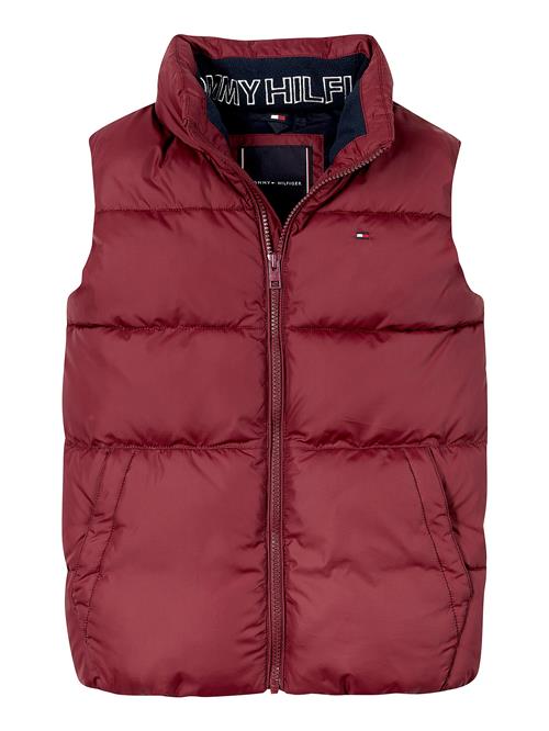 TOMMY HILFIGER Vest  merlot