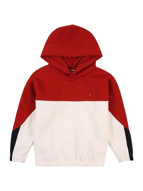 TOMMY HILFIGER Sweatshirt  rubinrød / sort / uldhvid