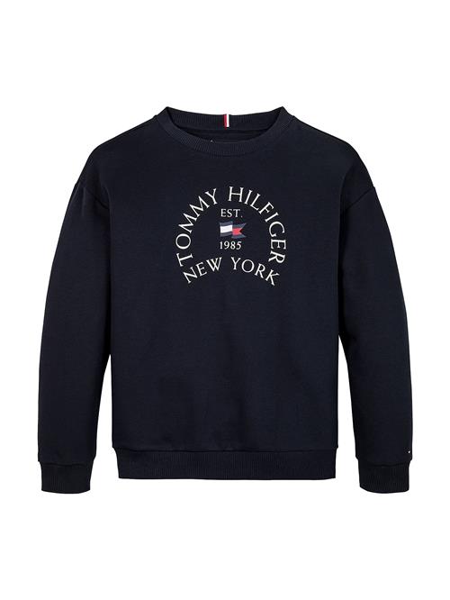 TOMMY HILFIGER Sweatshirt  marin / navy / blodrød / hvid