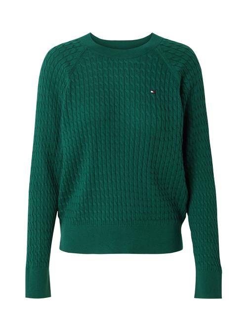 TOMMY HILFIGER Pullover  gran