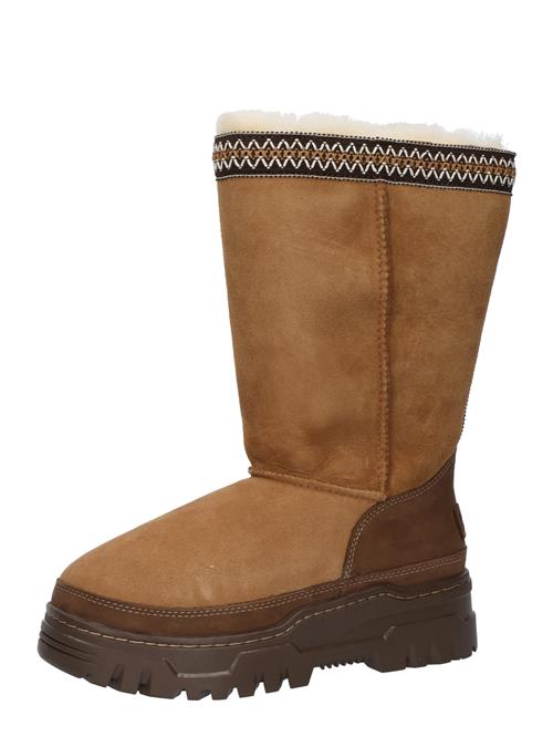 UGG Støvler 'Classic'  brun / mørkebrun