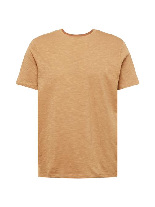 SELECTED HOMME Bluser & t-shirts 'SLHASPEN'  lysebrun