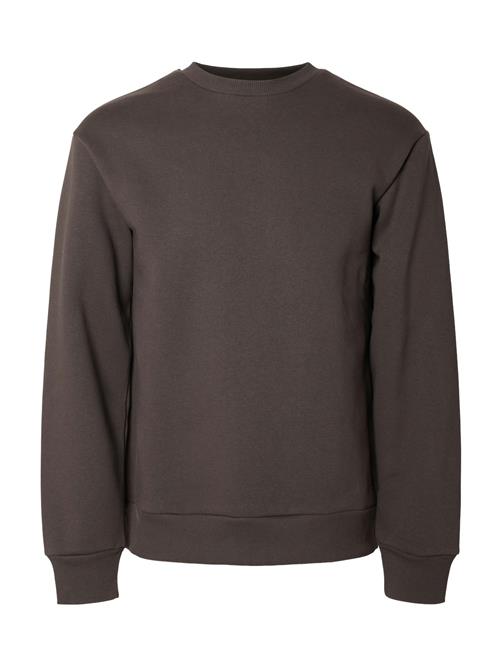 SELECTED HOMME Sweatshirt 'SLHREG-DAN'  brun