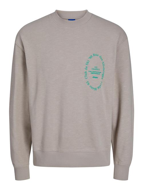 JACK & JONES Sweatshirt  grå / jade