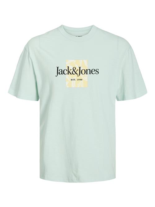 JACK & JONES Bluser & t-shirts 'Lafayette'  pastelblå / gul / sort