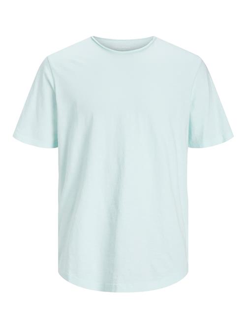 JACK & JONES Bluser & t-shirts 'JJEBasher'  turkis