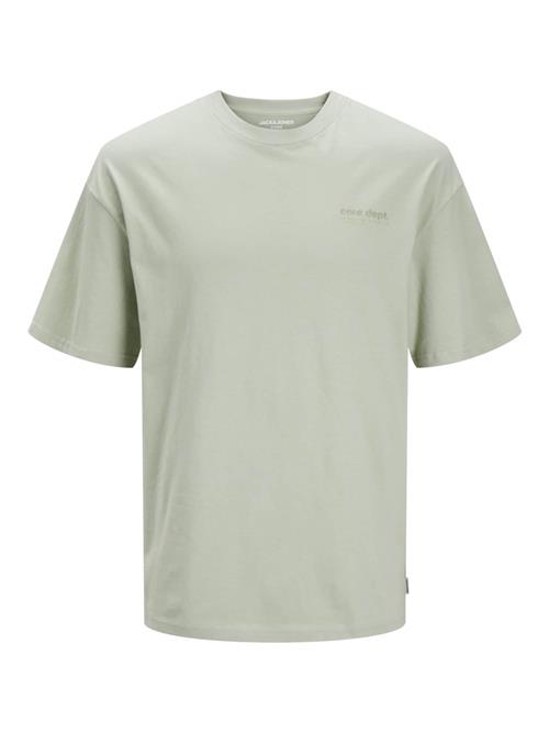 JACK & JONES Bluser & t-shirts 'OCEAN'  lysegrå / pastelgrøn / sort / hvid