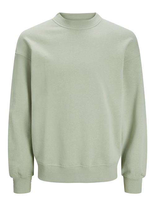 JACK & JONES Sweatshirt 'COLLECTIVE'  pastelgrøn