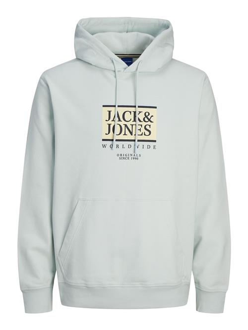 JACK & JONES Sweatshirt  pastelblå / pastelgul / sort