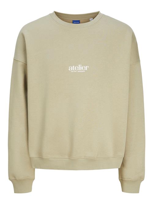 Se JACK & JONES Sweatshirt 'Brooklyn'  taupe / smaragd / pink / sort / hvid ved About You