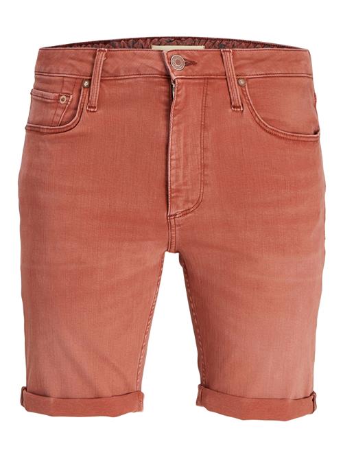 JACK & JONES Jeans 'RICK EVAN'  mandarin