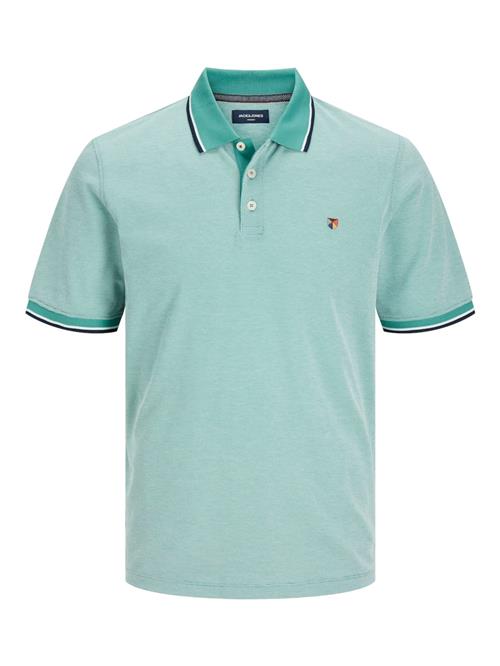 JACK & JONES Bluser & t-shirts 'Bluwin'  grøn / mint / sort / hvid