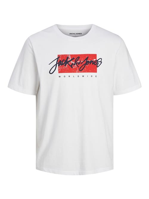 JACK & JONES Bluser & t-shirts 'JJTILEY'  rød / sort / hvid