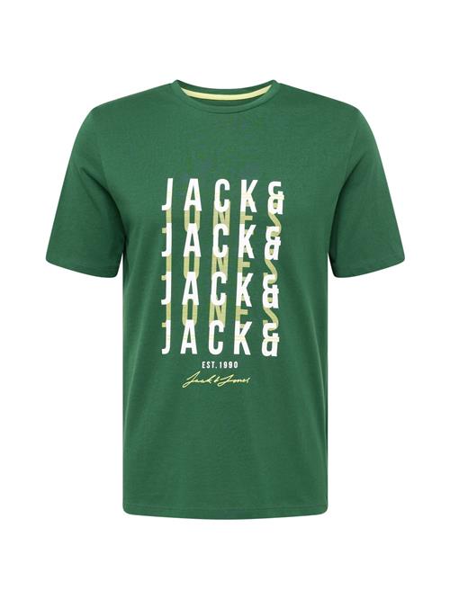 JACK & JONES Bluser & t-shirts 'JJDELVIN'  siv / kiwi / hvid