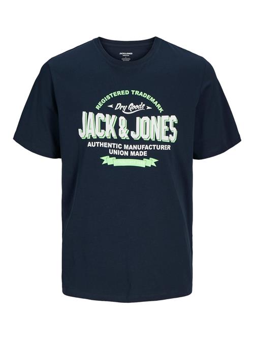 JACK & JONES Bluser & t-shirts  navy / lysegrøn / hvid