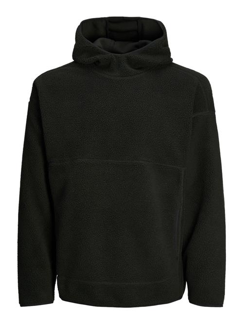 JACK & JONES Sweatshirt 'JCOALPINE'  sort