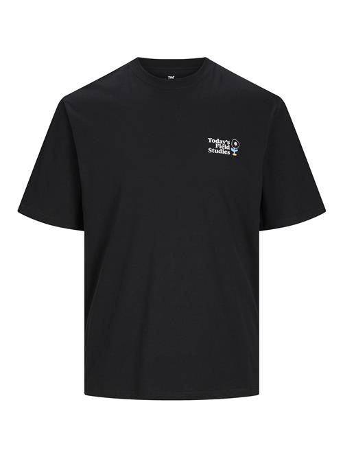 JACK & JONES Bluser & t-shirts  blandingsfarvet / sort