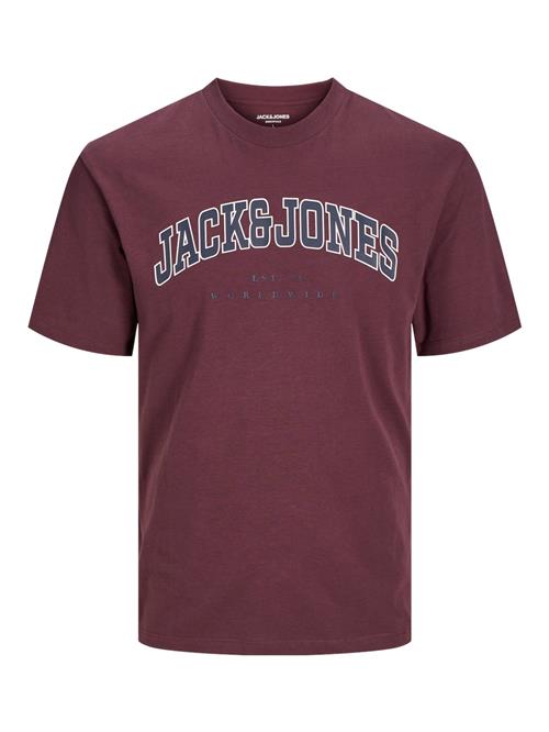 JACK & JONES Bluser & t-shirts 'JJECALEB'  marin / vinrød / hvid