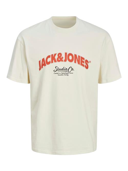 JACK & JONES Bluser & t-shirts 'JORBRONX'  rød / sort / uldhvid