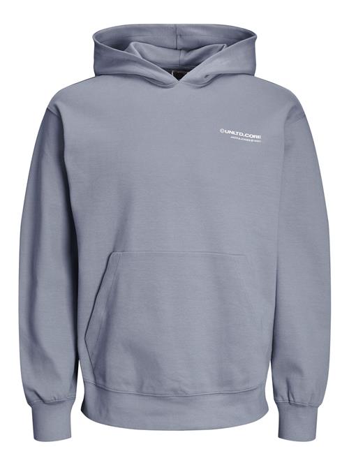 JACK & JONES Sweatshirt  blå / lys pink